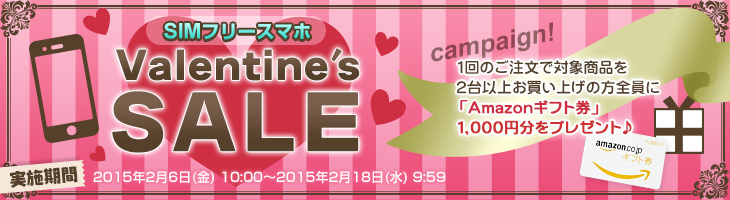 goo-simseller_sale_20150206_13