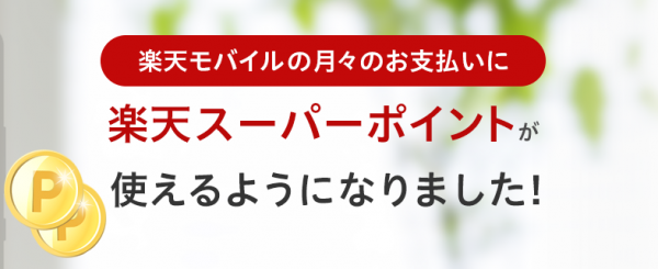 rakuten-mboile_point_20160628_1